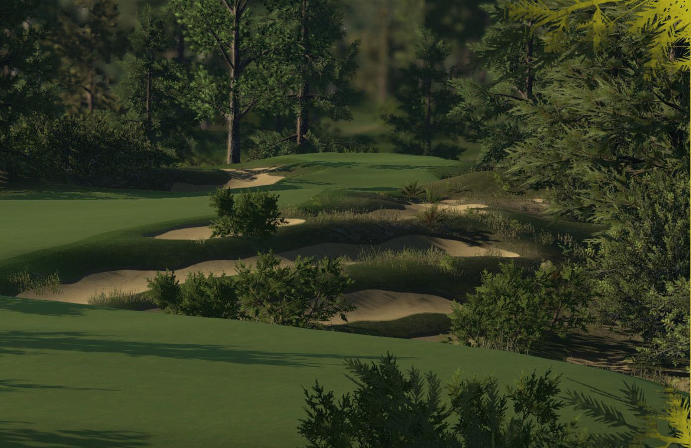Click image for larger version

Name:	#6 green.jpg
Views:	262
Size:	177.0 KB
ID:	15807