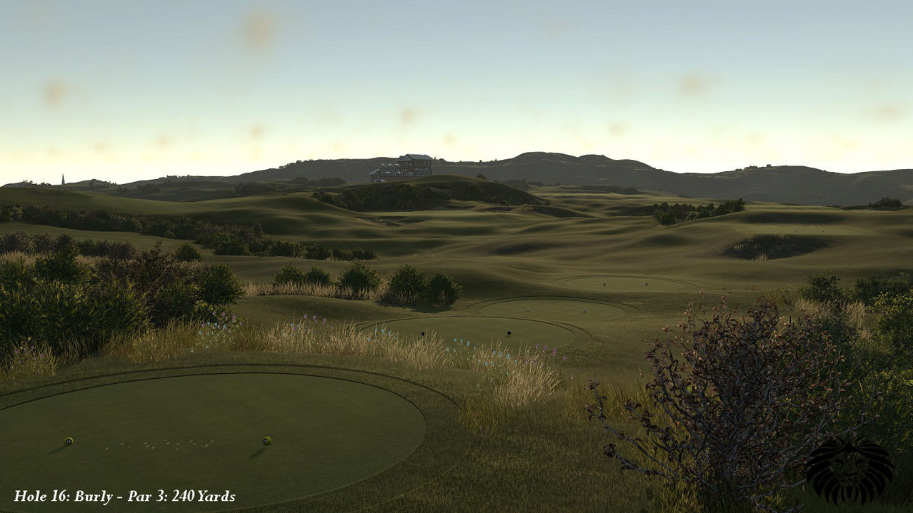 Click image for larger version

Name:	Hole_16.jpg
Views:	160
Size:	136.6 KB
ID:	47227