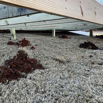 Click image for larger version

Name:	5E170096-DE6F-42C0-9AD7-1AFF4511556E.jpeg
Views:	3303
Size:	249.1 KB
ID:	302989