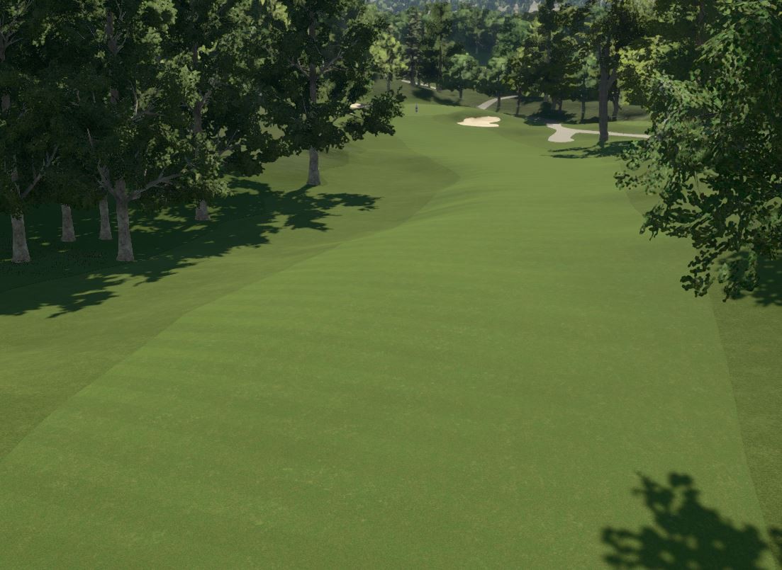 Click image for larger version

Name:	LP Hole 9.JPG
Views:	376
Size:	167.4 KB
ID:	306786