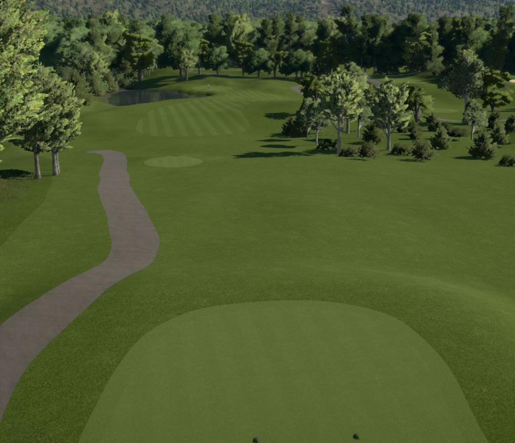 Click image for larger version

Name:	LP Hole 8.JPG
Views:	403
Size:	94.1 KB
ID:	306790