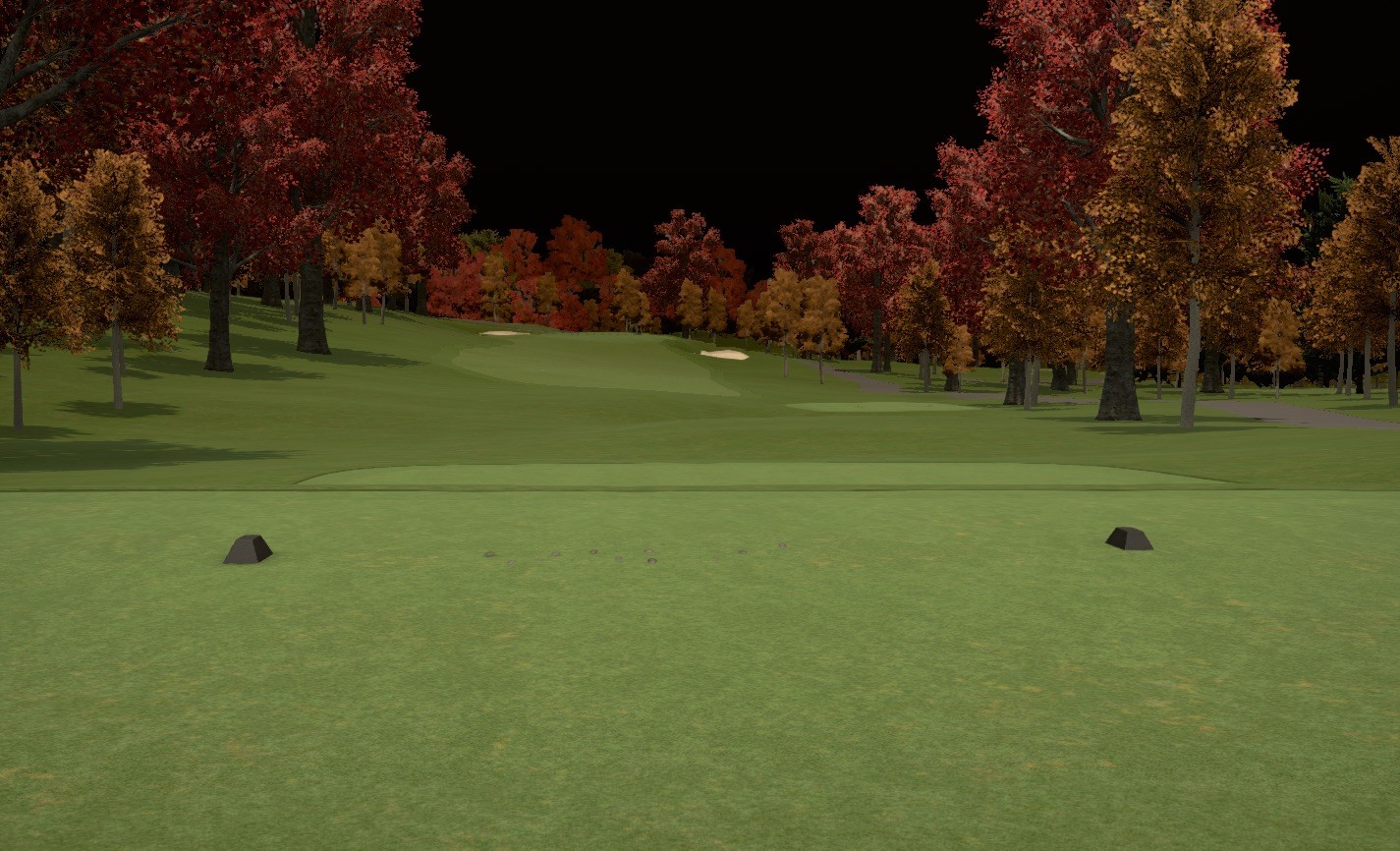 Click image for larger version  Name:	hole14.jpg Views:	0 Size:	323.2 KB ID:	322219