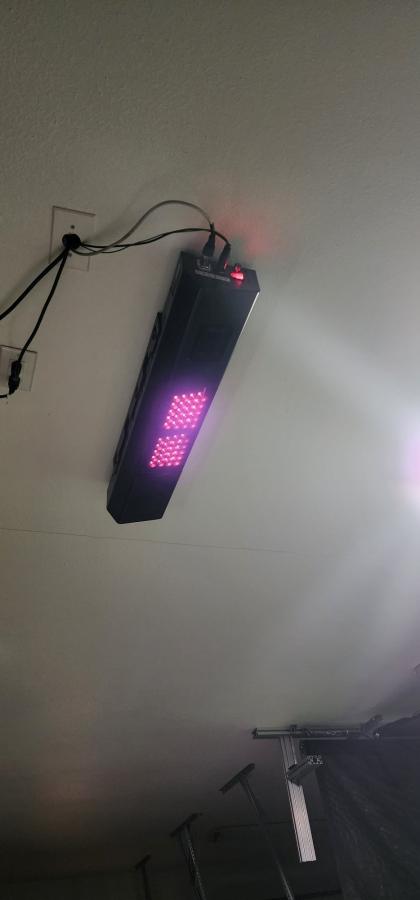 Click image for larger version

Name:	Uneekor_QED_Ceiling.jpg
Views:	480
Size:	21.9 KB
ID:	387253