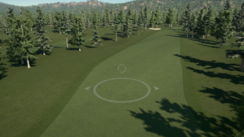 Madrona Links Wa (L)