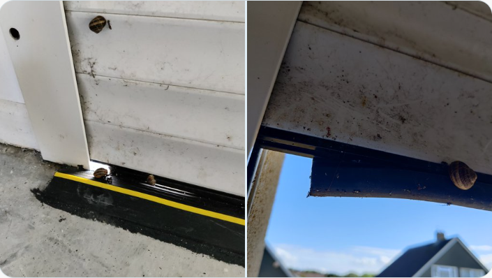 Click image for larger version

Name:	image.png
Views:	1441
Size:	354.3 KB
ID:	399842