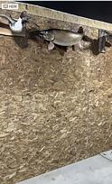 Click image for larger version

Name:	IMG_1958.jpg
Views:	1567
Size:	27.4 KB
ID:	401714