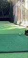 Click image for larger version

Name:	IMG_2473.jpg
Views:	1001
Size:	61.3 KB
ID:	328732