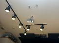 Click image for larger version

Name:	Lights 6.jpg
Views:	3293
Size:	57.2 KB
ID:	402523
