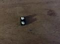 Two small pea size pieces
